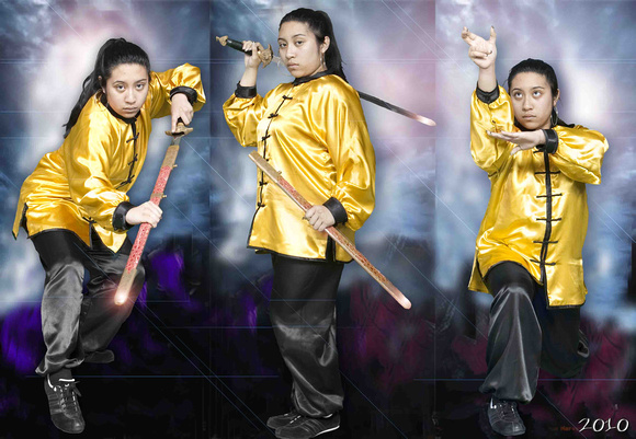 Class 2010 Movie Ninja Warriors